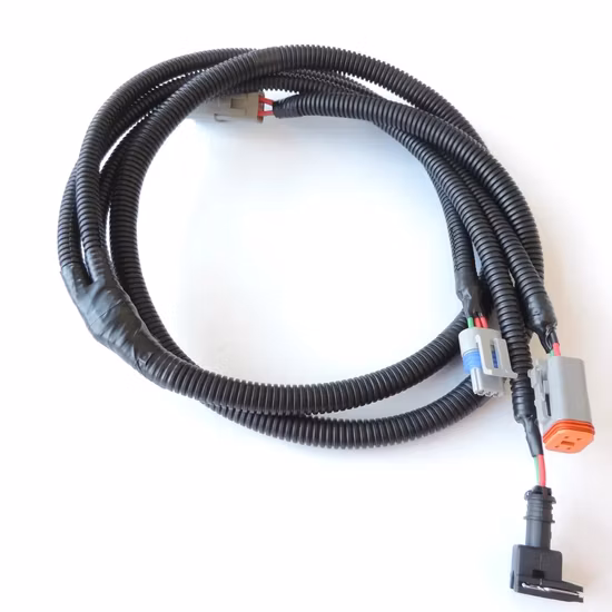 2 3 6-poliges Gehäuse Gxl 18 AWG Kundenspezifischer Auto-Kabelbaum mit Dt06